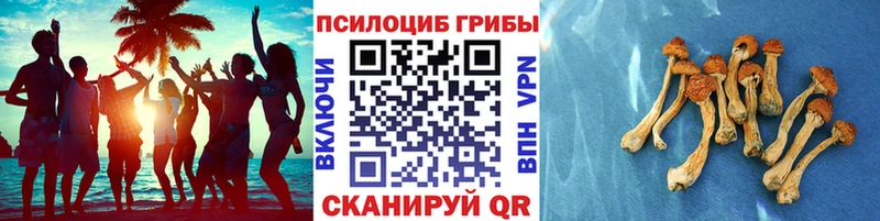Галлюциногенные грибы мицелий  Купить закладки  Юрюзань 