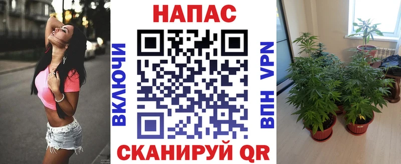 Каннабис White Widow  Купить закладки  Юрюзань 